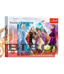 TF Puzzle "160" - Sister adventure / Disney Frozen II